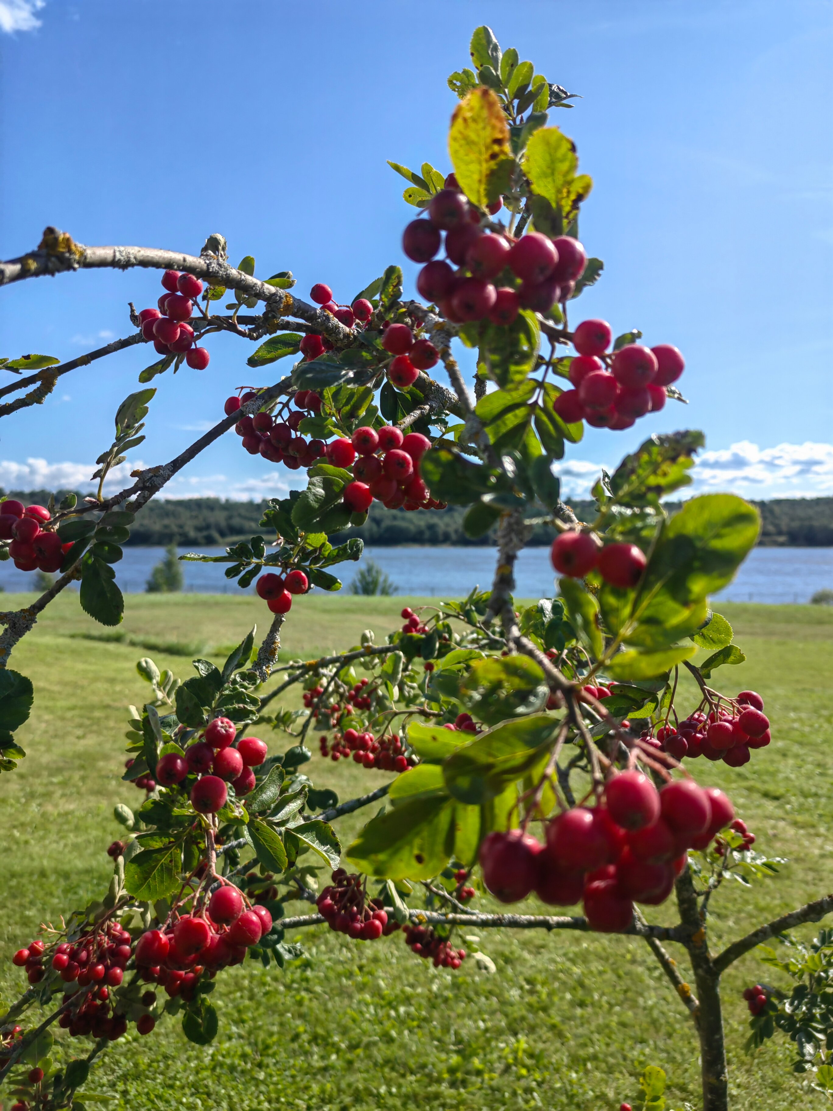 Фото Спасское