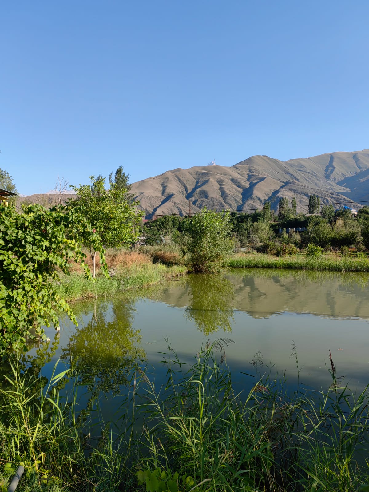 Фото Семейные домики