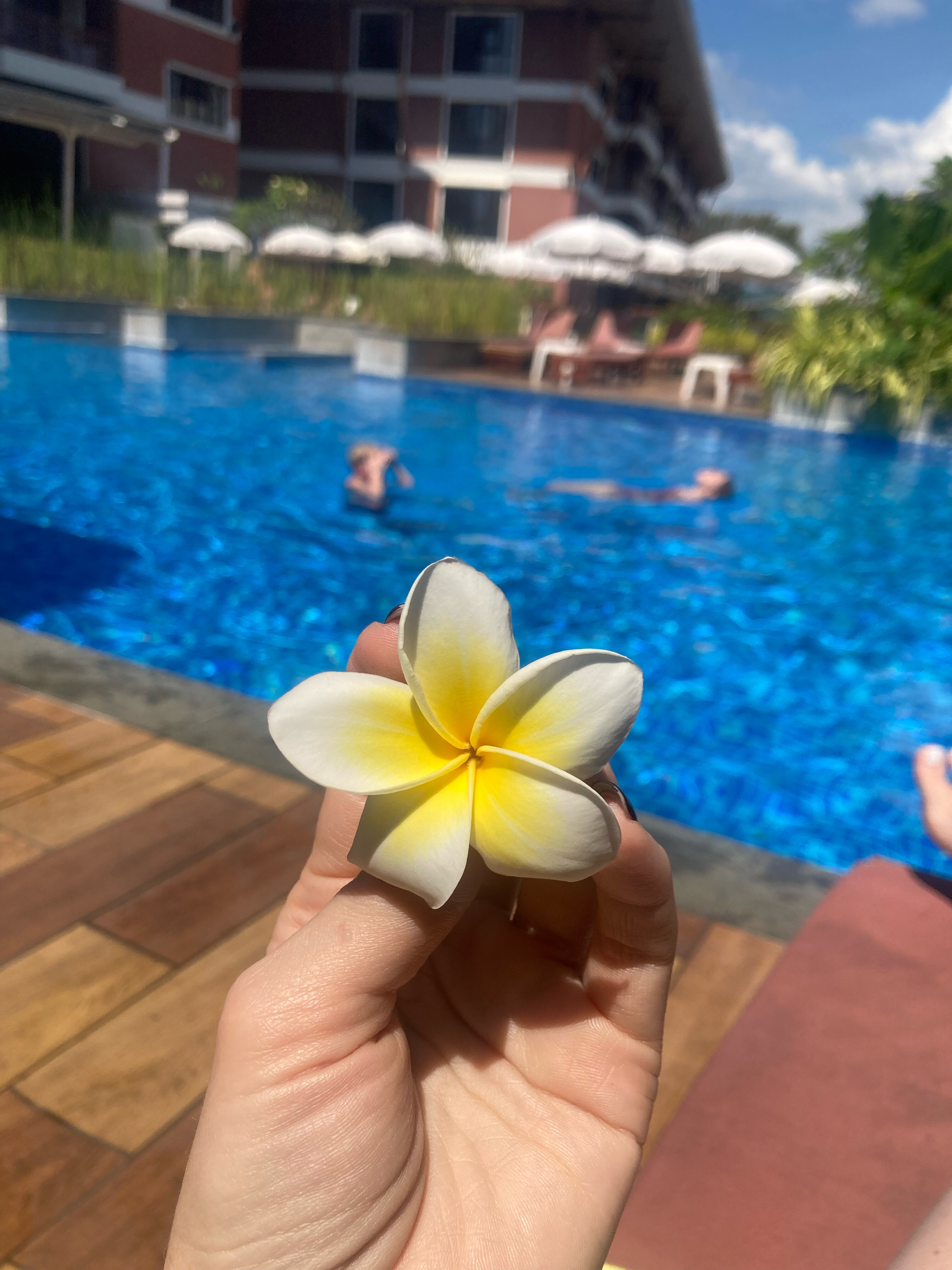 Фото Peach Blossom Resort & Pool Villa