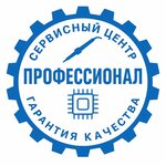 Professional (Sotsialisticheskaya Street No:26А), bilgisayar teknik servisleri  Rostov‑na‑Donu'dan