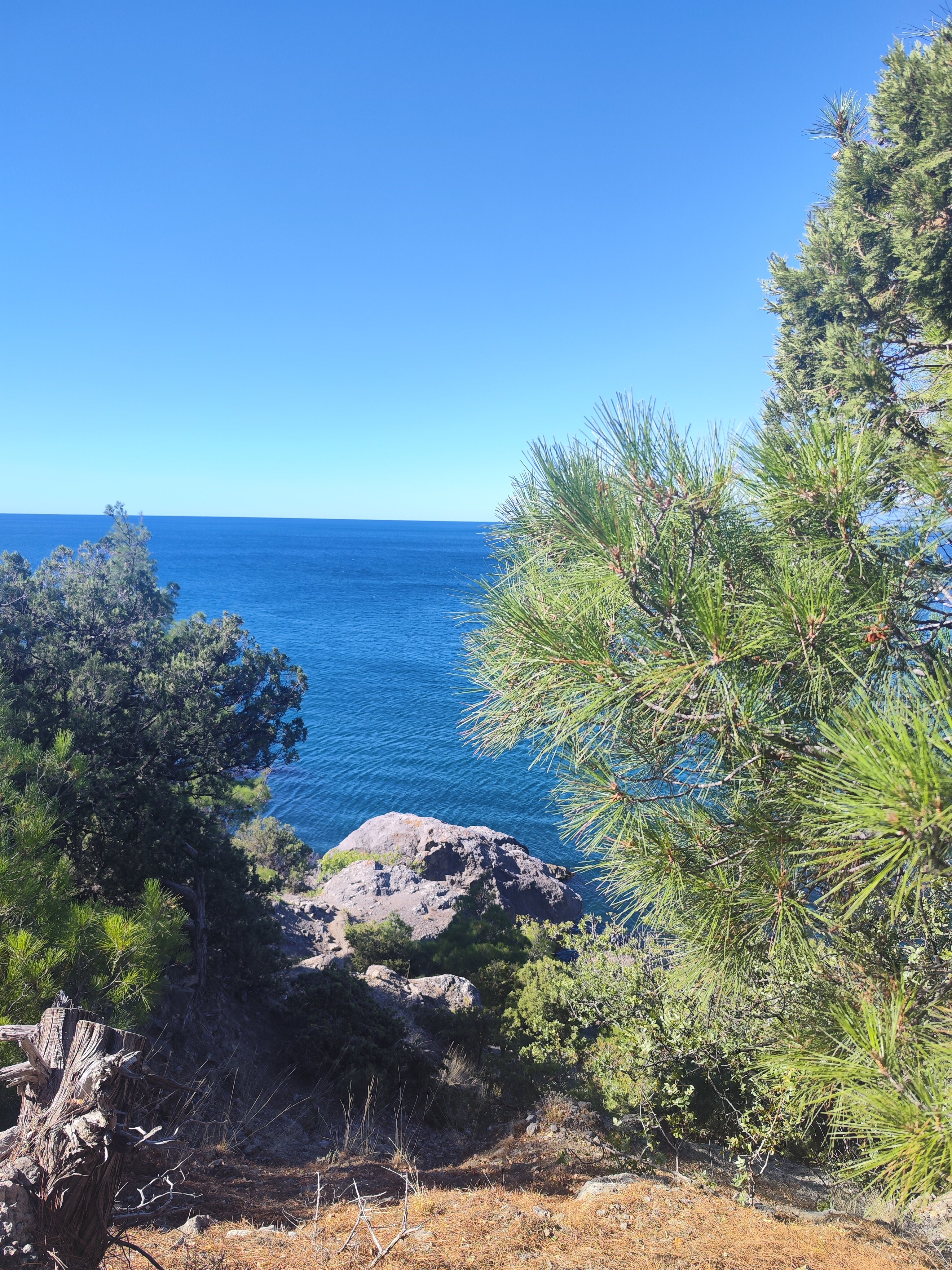 Фото Междуречье Camp