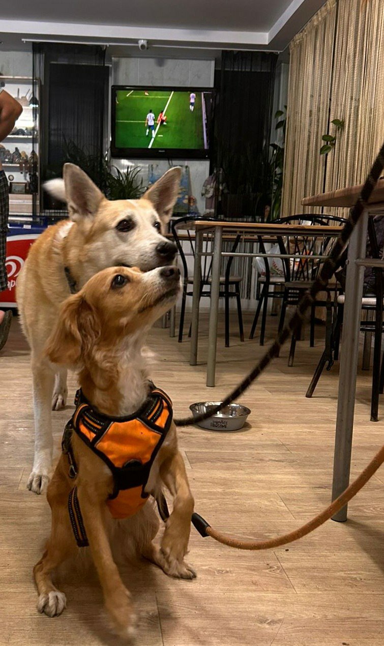 Фото Белый Орёл