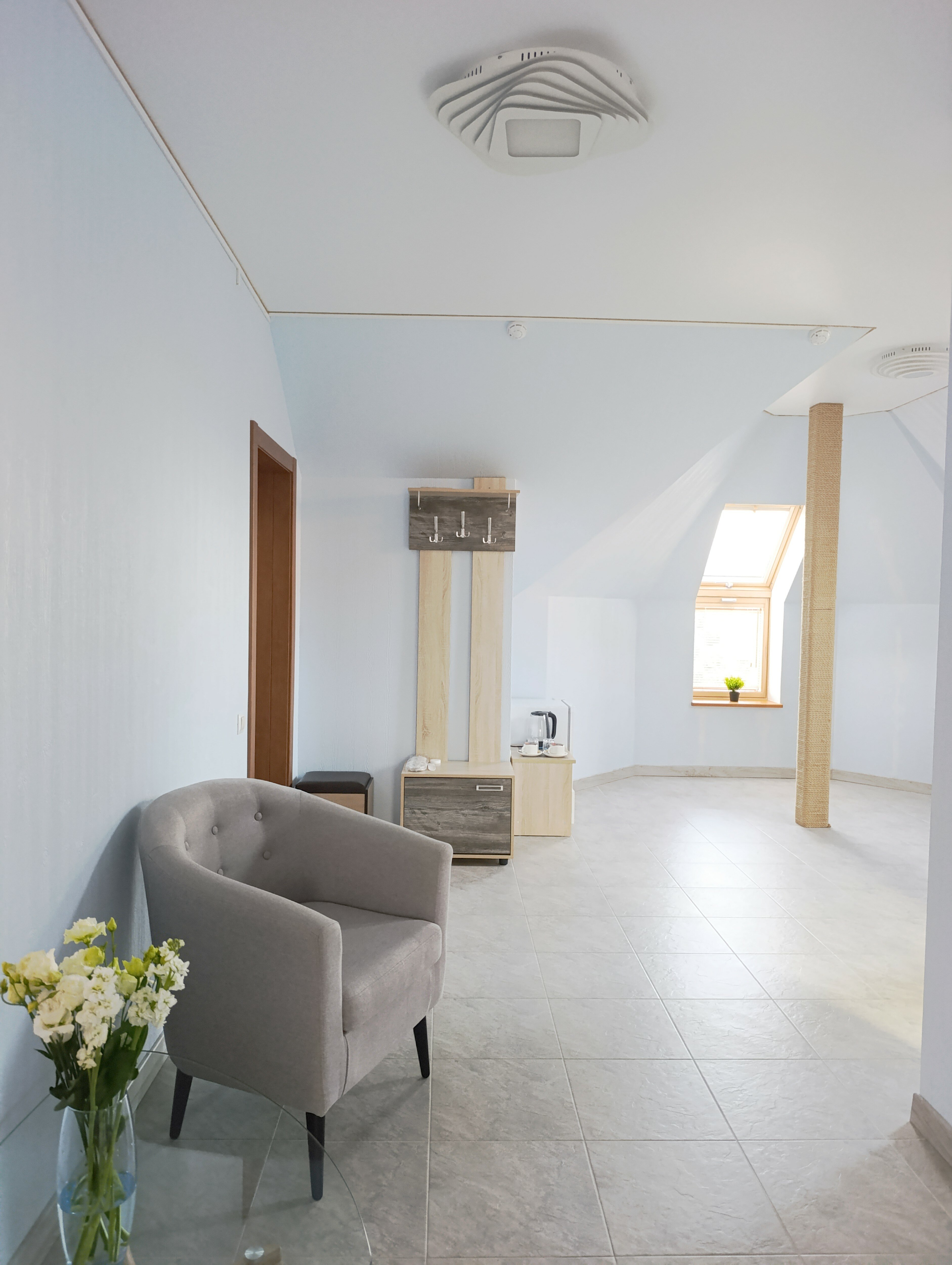 Фото Клевер