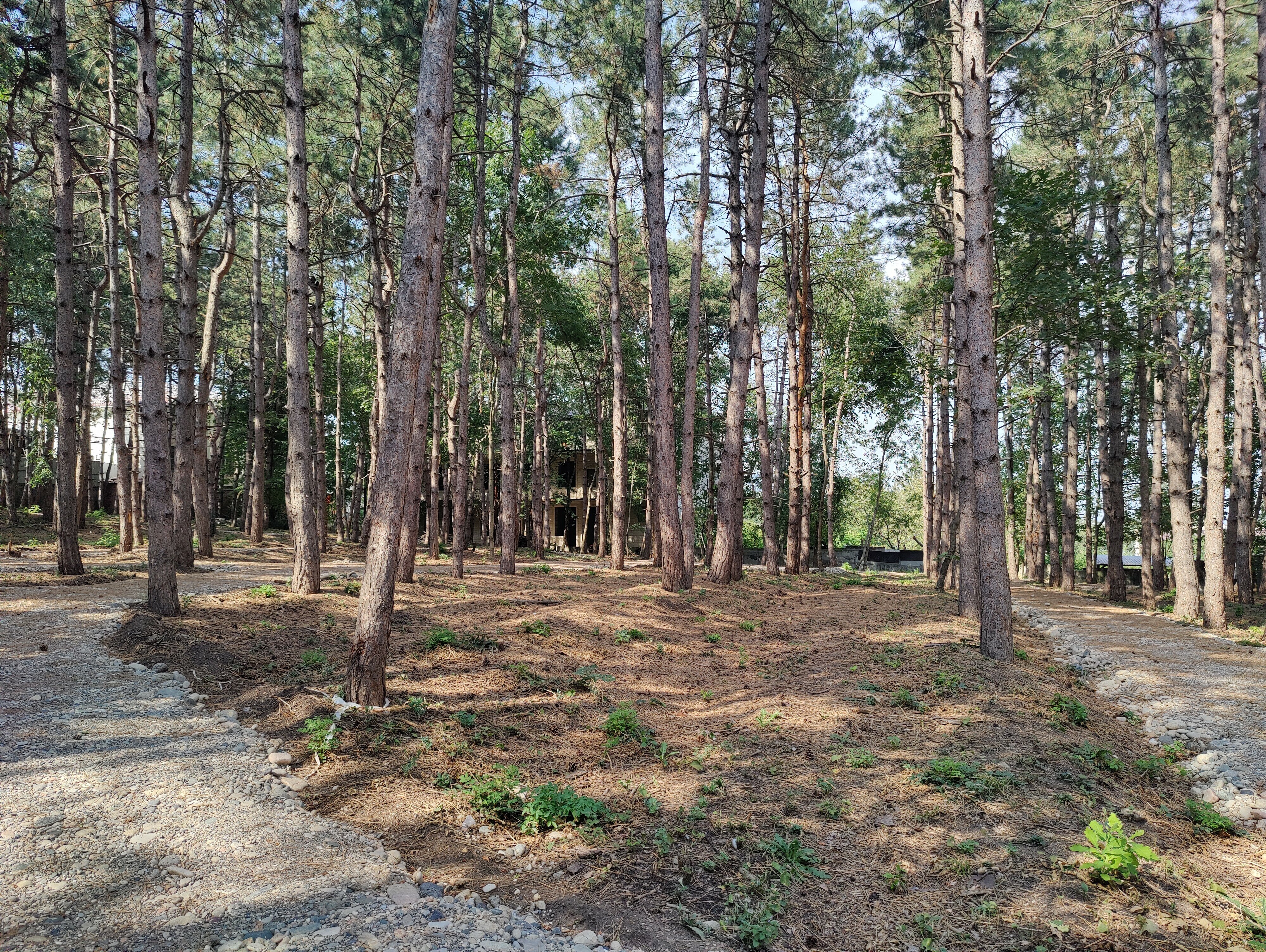 Фото Миррос Montis MediSpa Отель Пятигорск