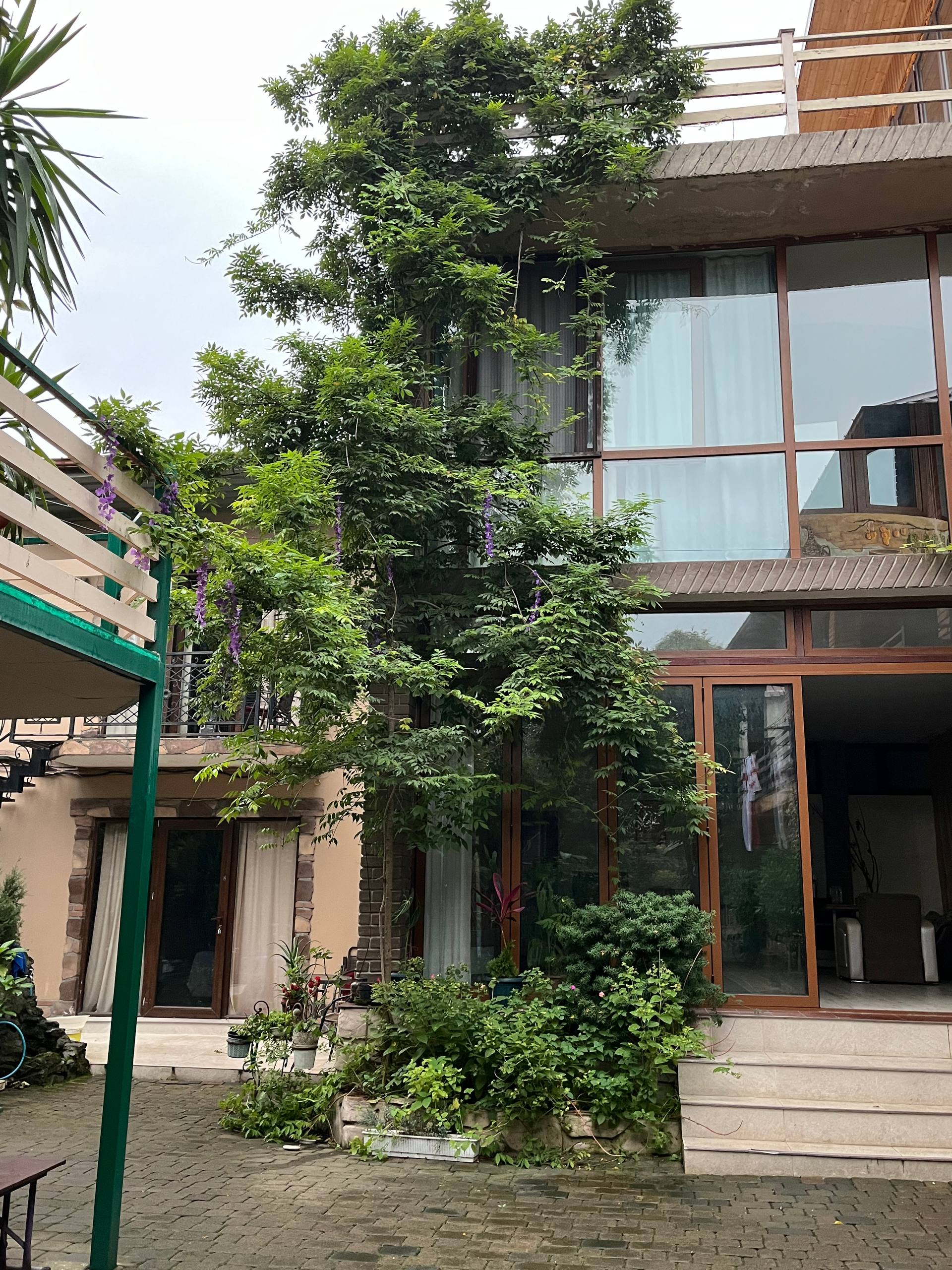 Фото Гостевой дом Батуми Wonderland