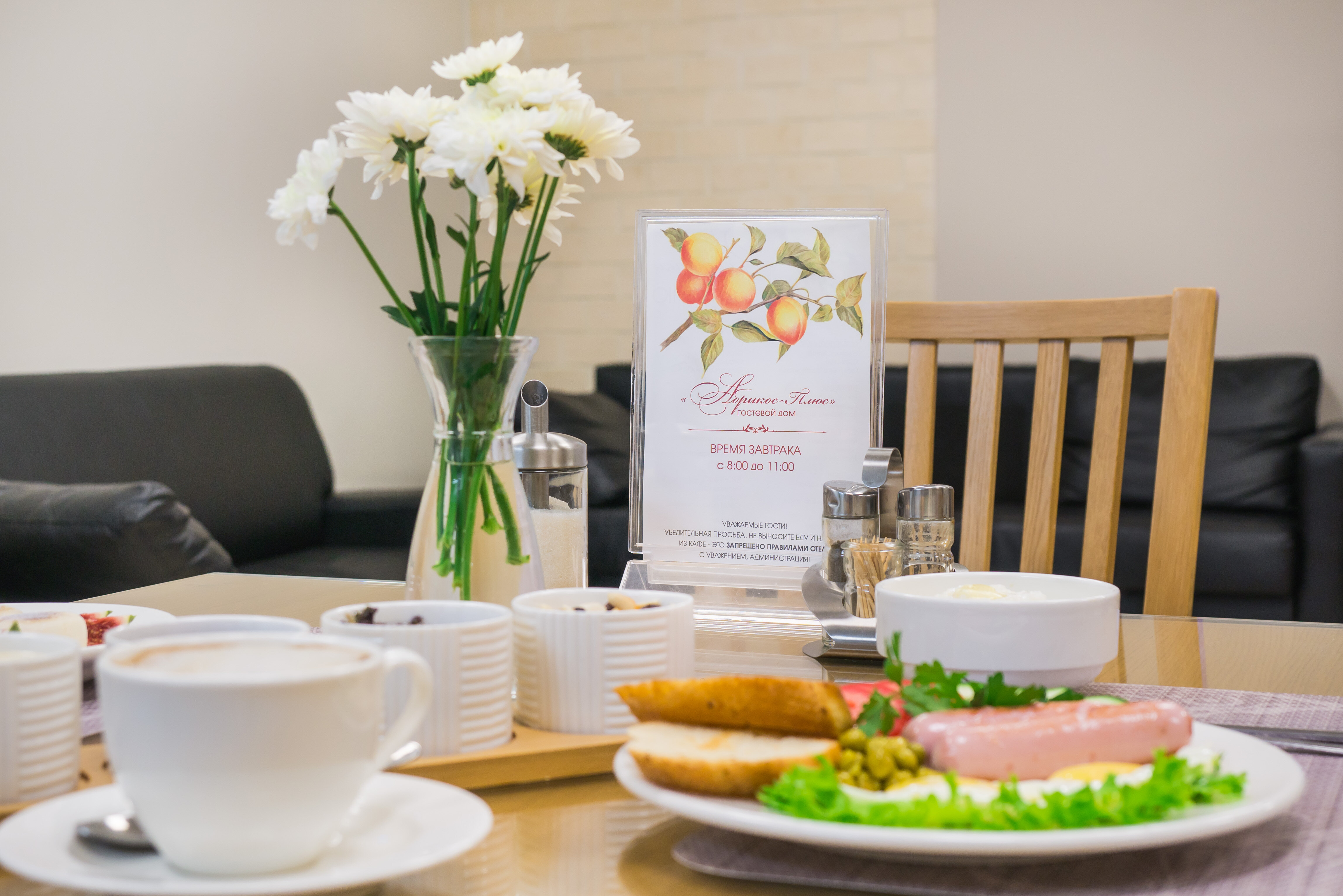 Фото Абрикос Плюс