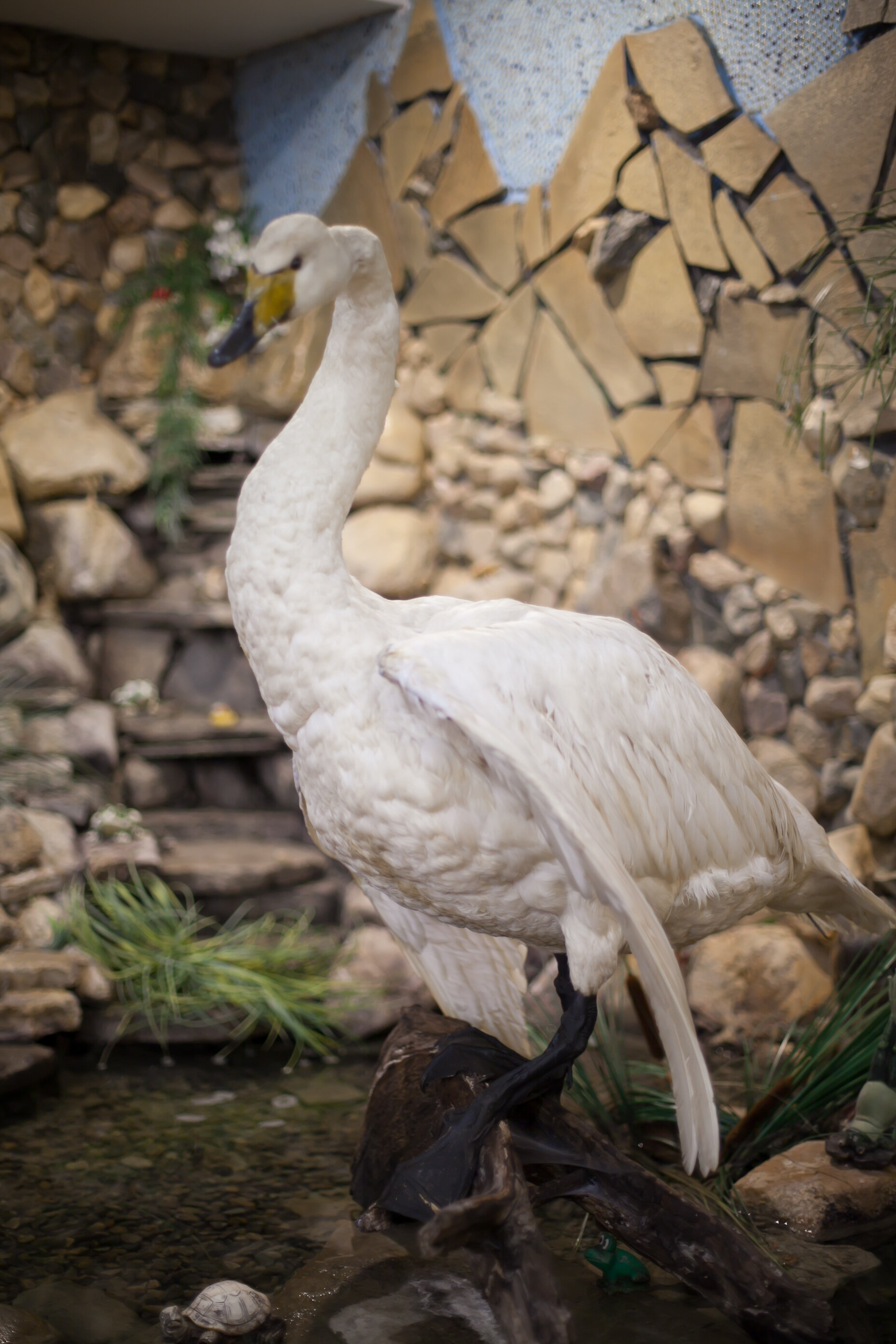 Фото Золотой ручей