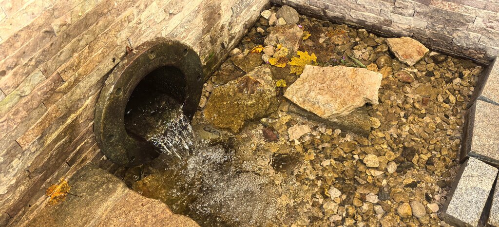 Spring, stream Spring, stream, Pskov Oblast, photo
