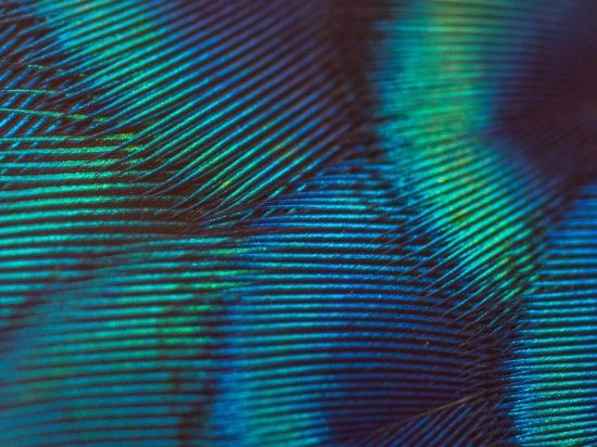 Фото Maison Albar  Le Victoria