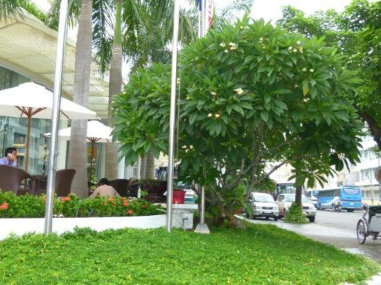 Фото Muong Thanh Holiday Hue Hotel