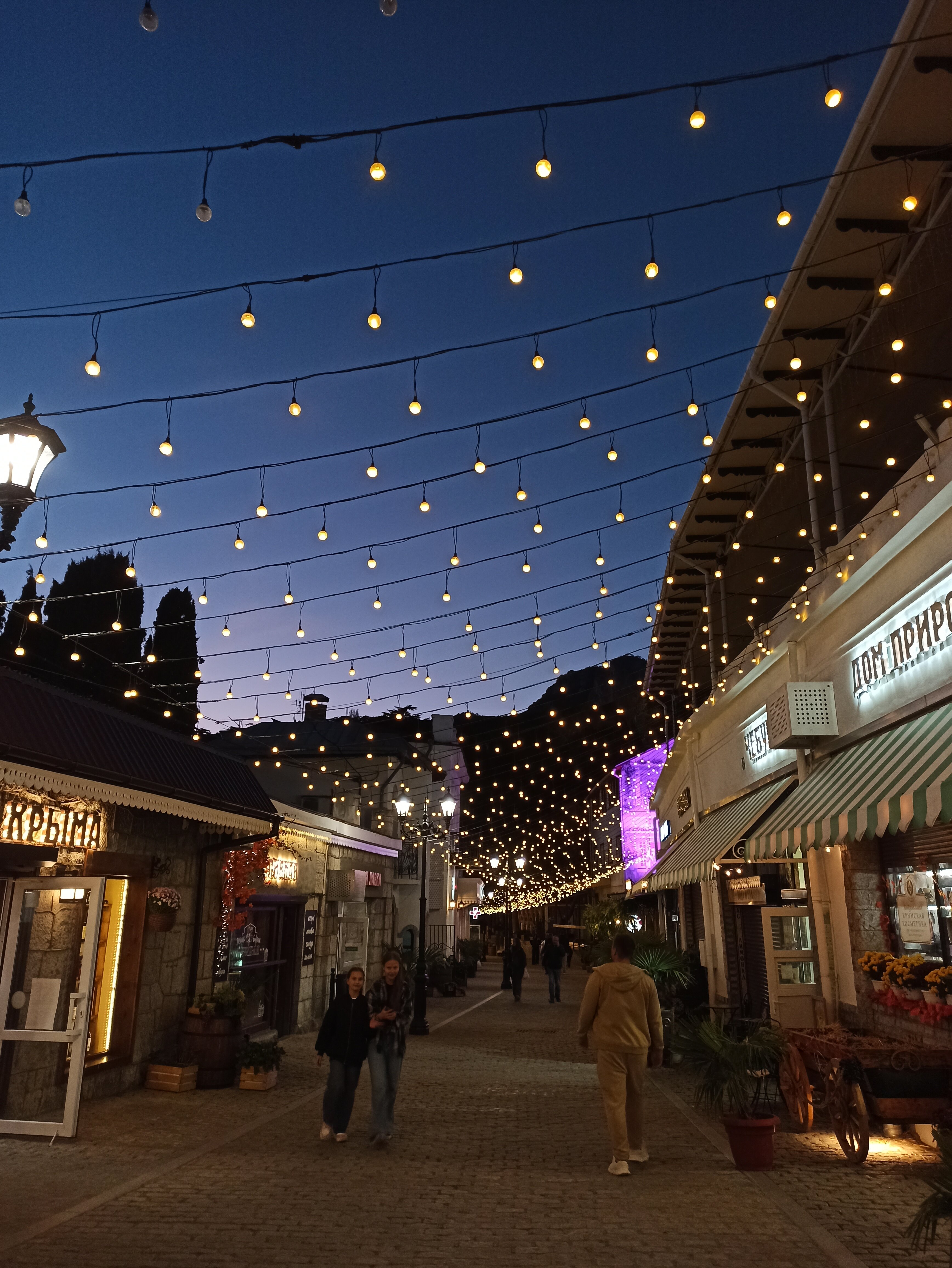 Фото Южный Кедр