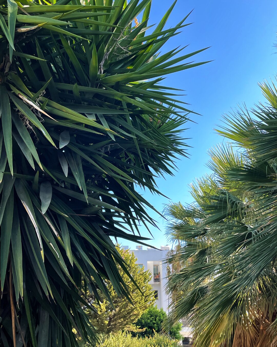 Фото Rix Apartments