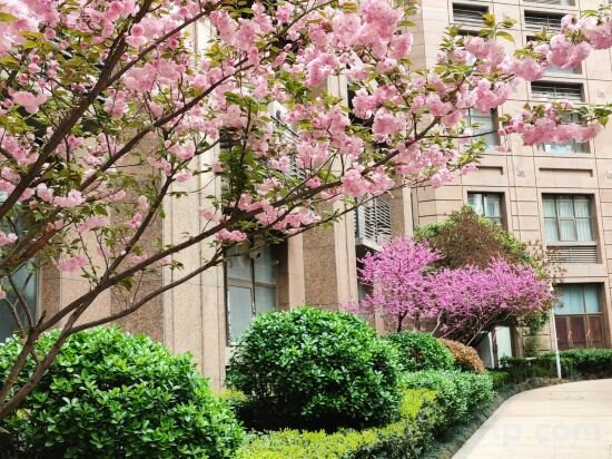 Apartments Yiyou Theme Hotel, Zhengzhou, photo