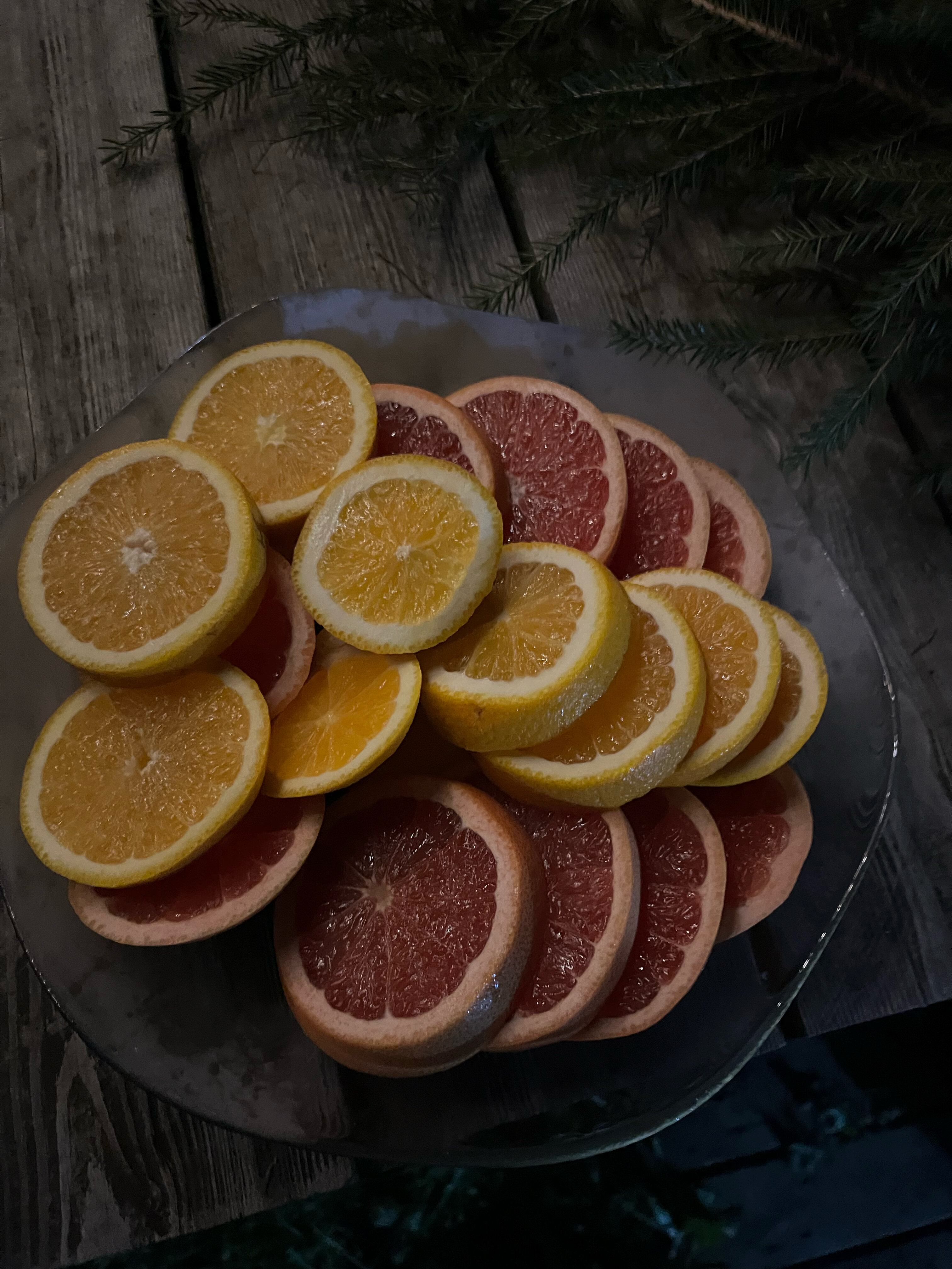 Фото Forest life