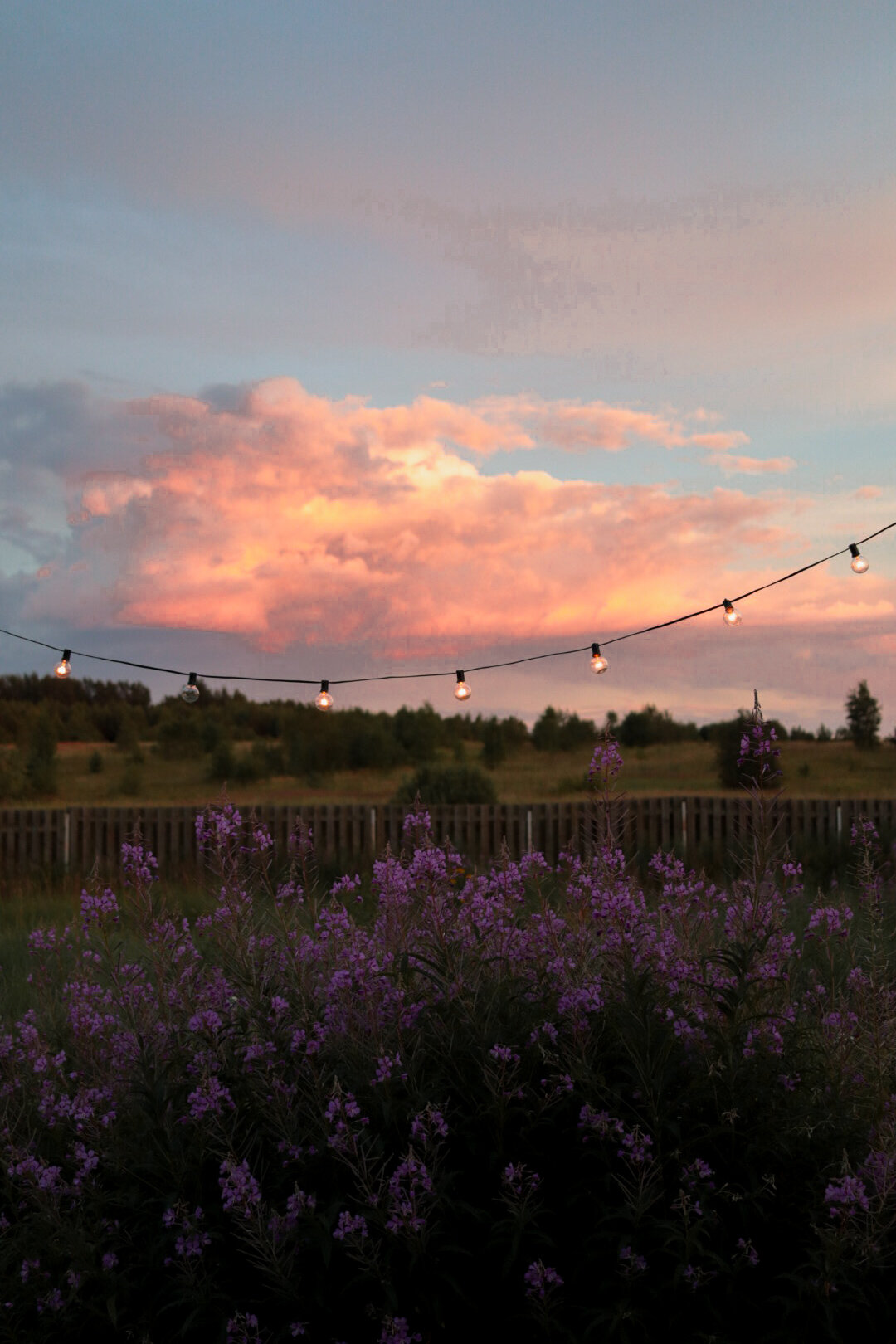 Фото Дом в Поле