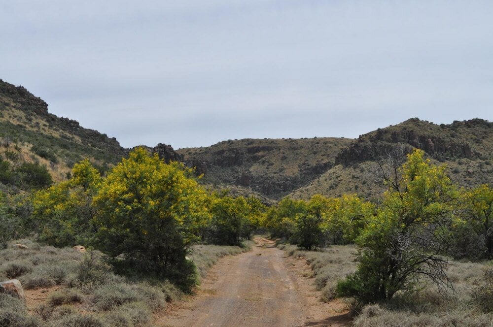 Фото Ko-Ka Tsara Bushcamp