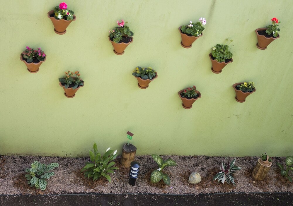 Фото Pousada Caminho dos Plátanos