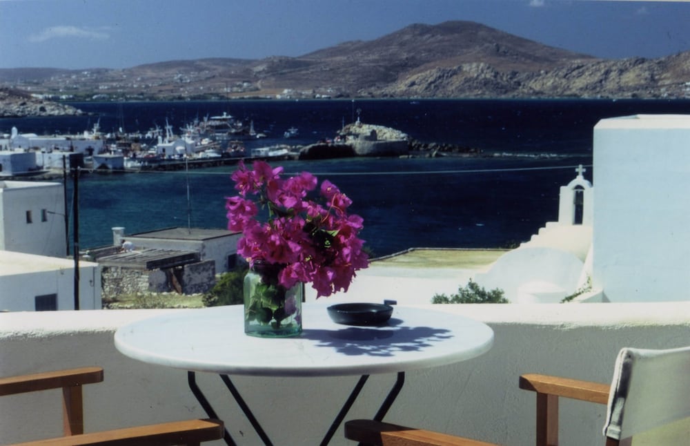 Фото Despina's Mare