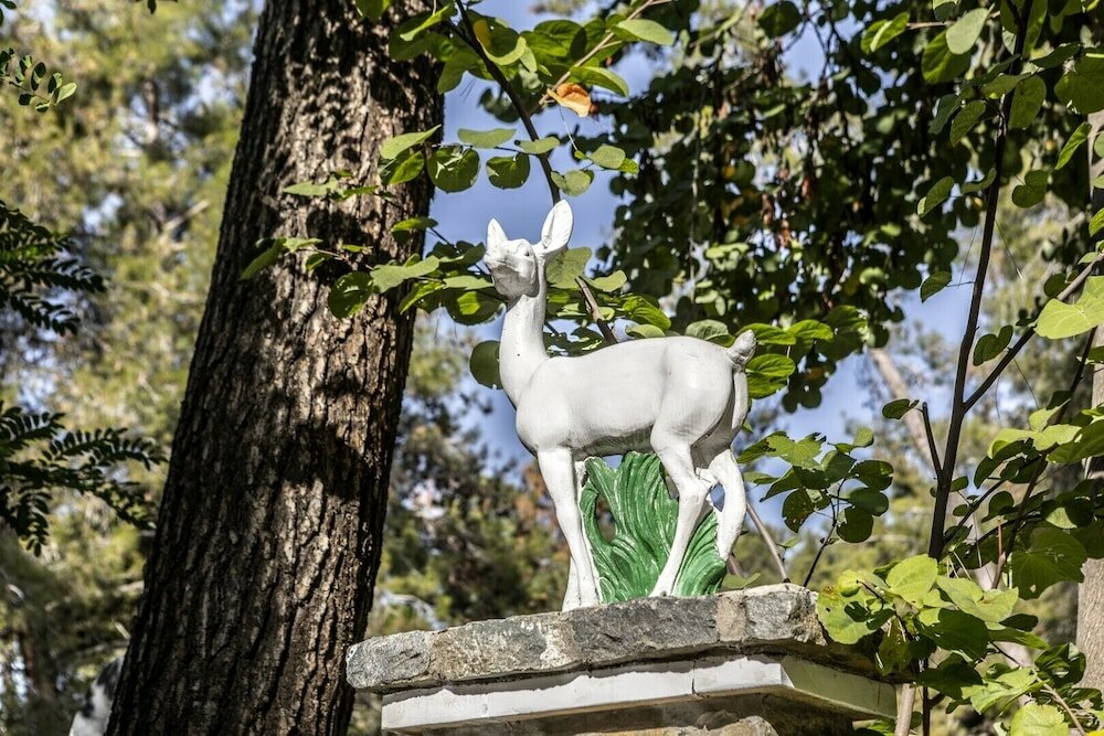 Фото Forest Park Hotel