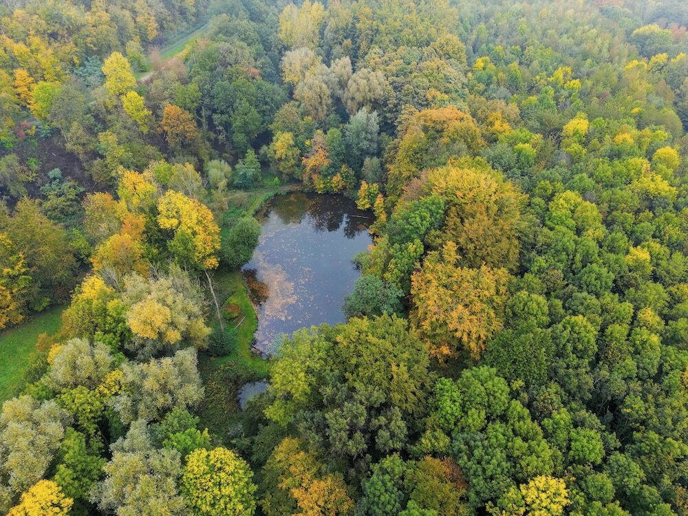 Фото Hotel Winselerhof