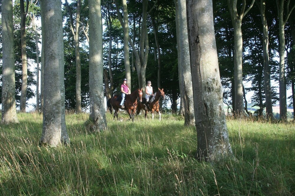 Фото Hollamoor Farm B&b