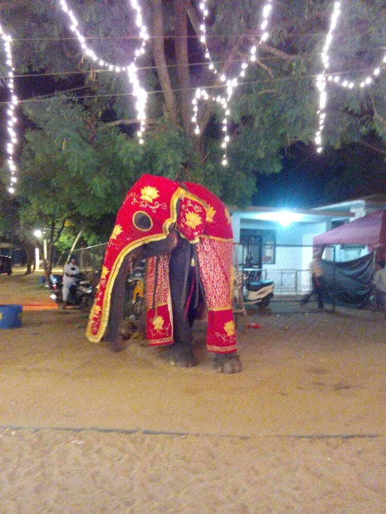 Фото Heina Nature Villa Colombo