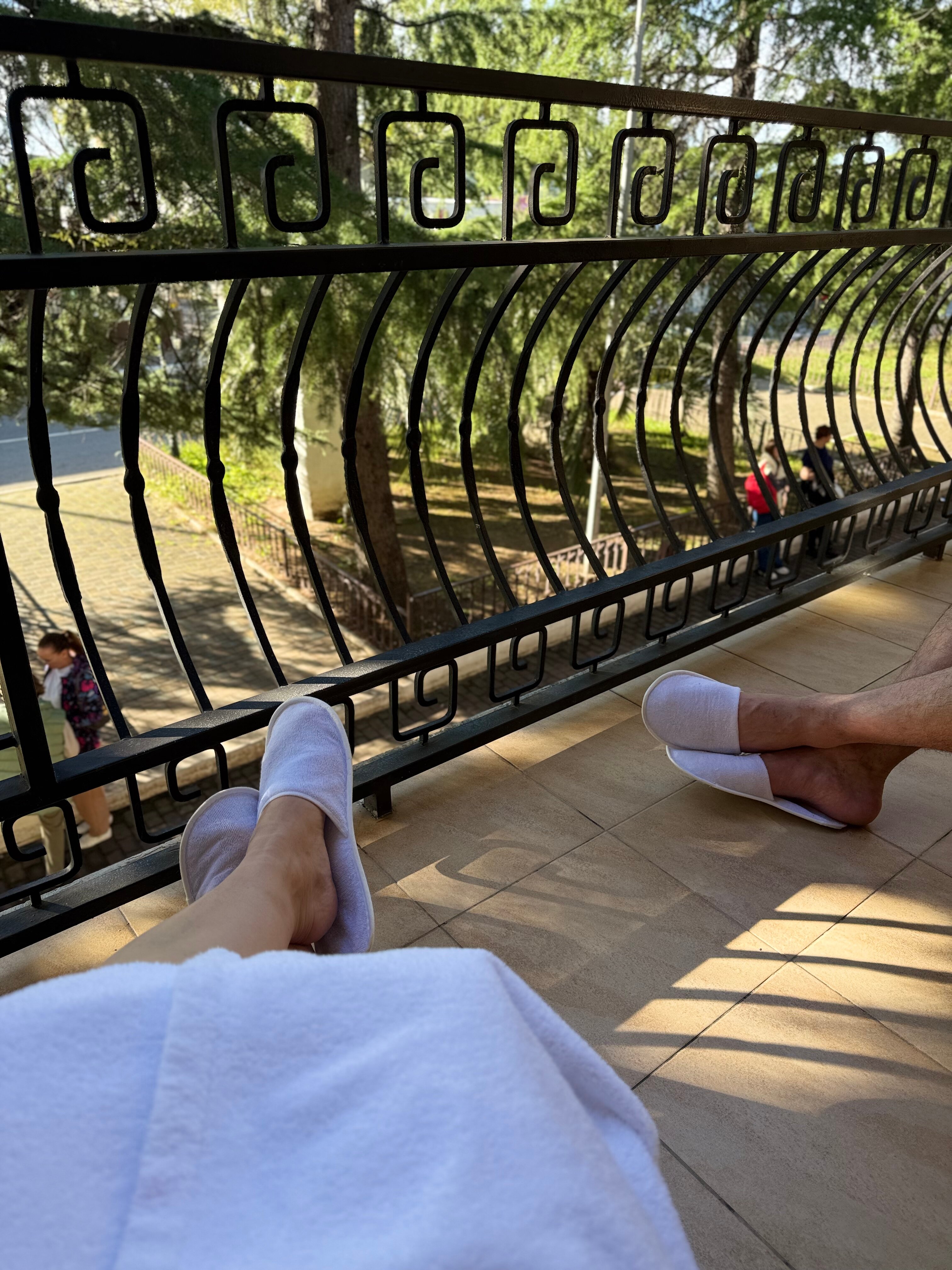 Фото Золотой дельфин