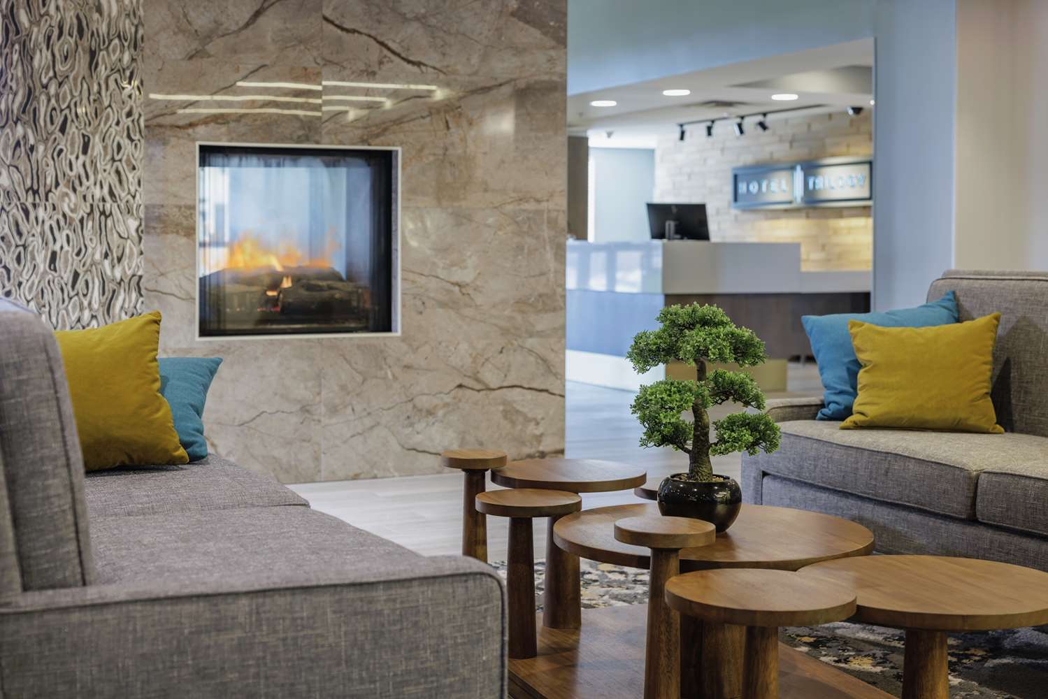 Фото Hotel Trilogy Albany Airport, Tapestry Collection by Hilton