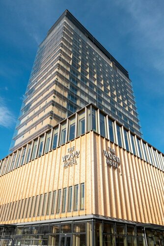 Гостиница The Wood Hotel by Elite в Шеллефтео