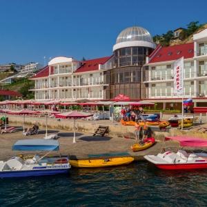 Фото Белый Грифон