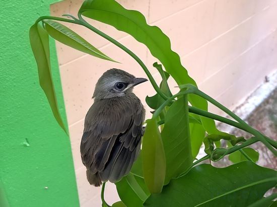 Фото J. Holiday Inn