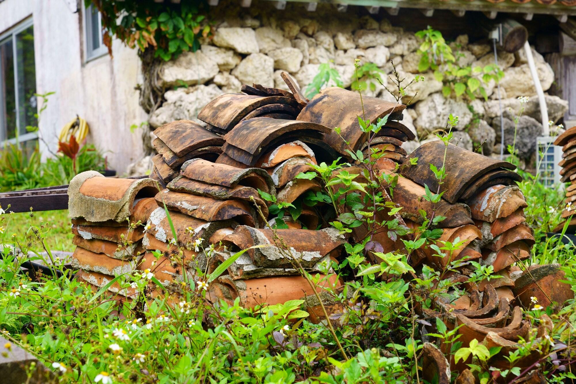 Фото Mr. Kinjo in Grand Blue Chatan