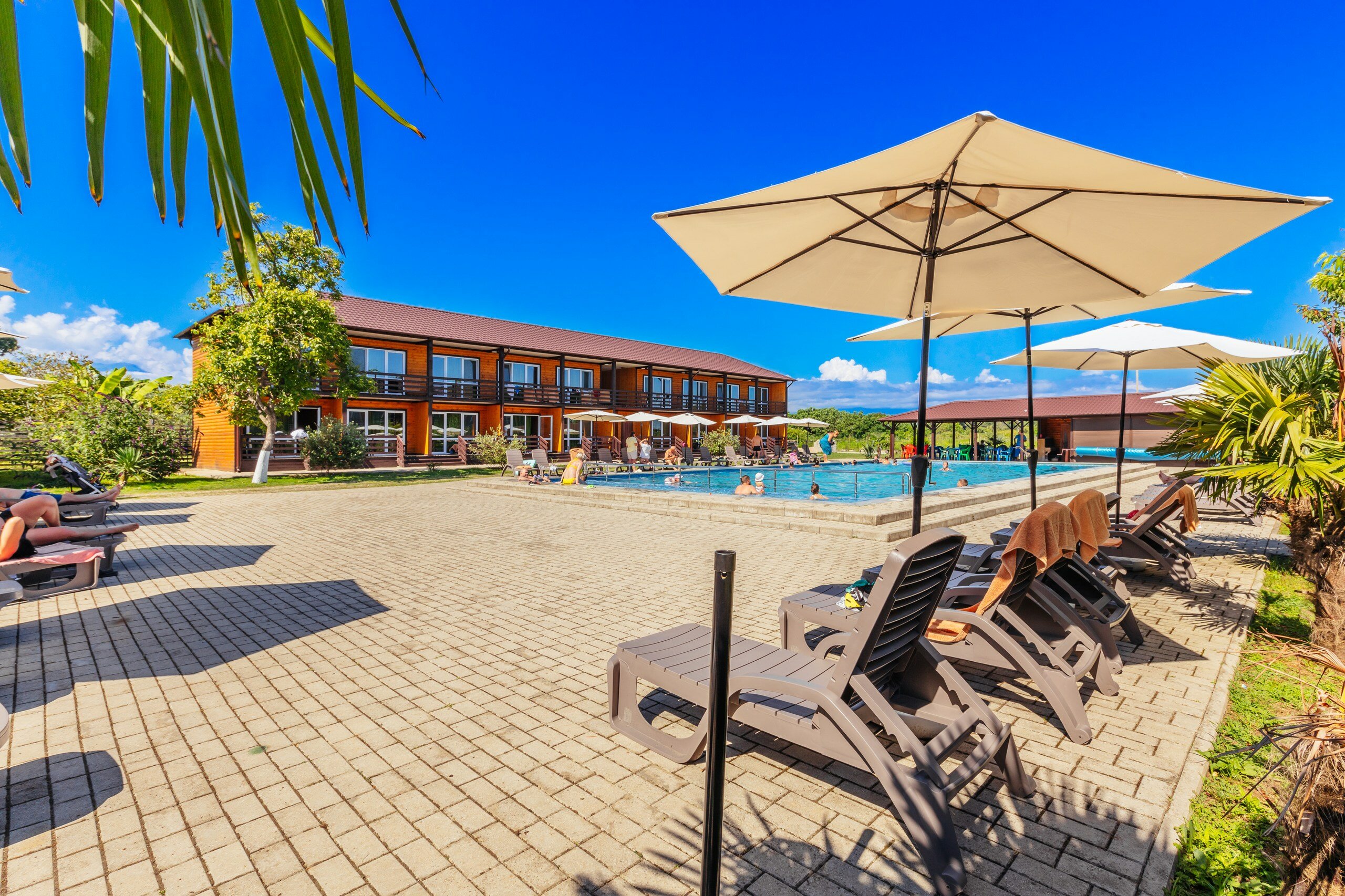 Фото Эко Папа