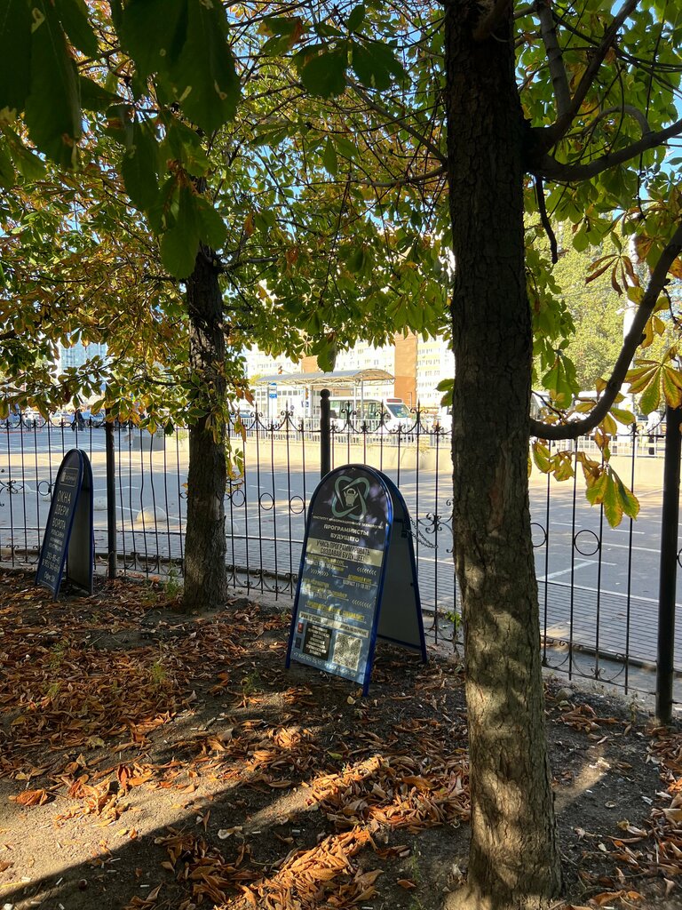 Computer courses Программисты будущего, Voronezh, photo