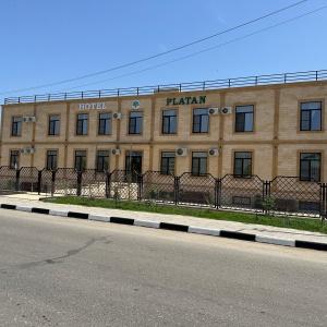 Фото Платан