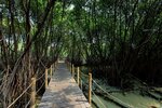 RedDoorz Resort @ Taman Wisata Mangrove
