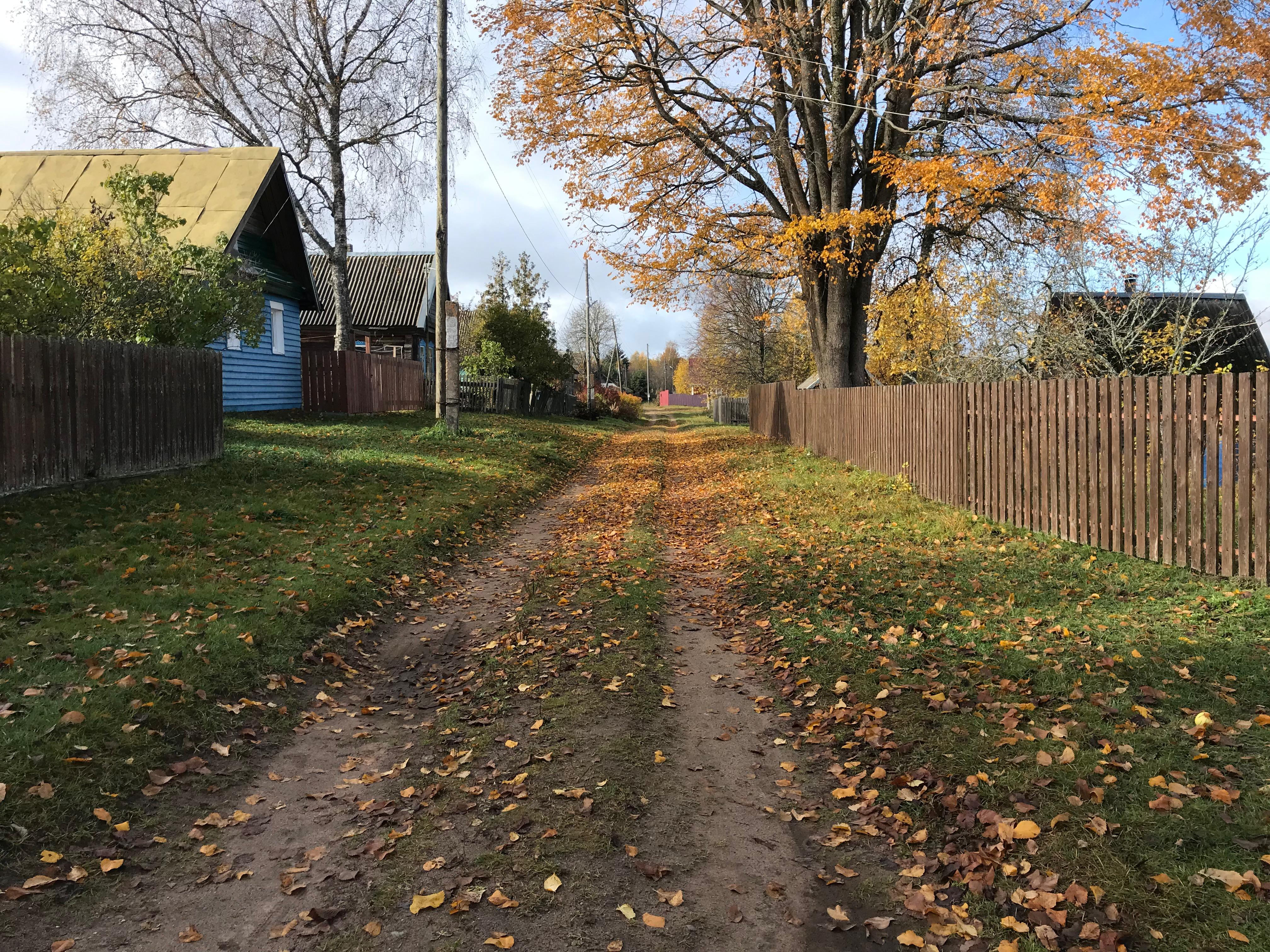 Фото Боровое