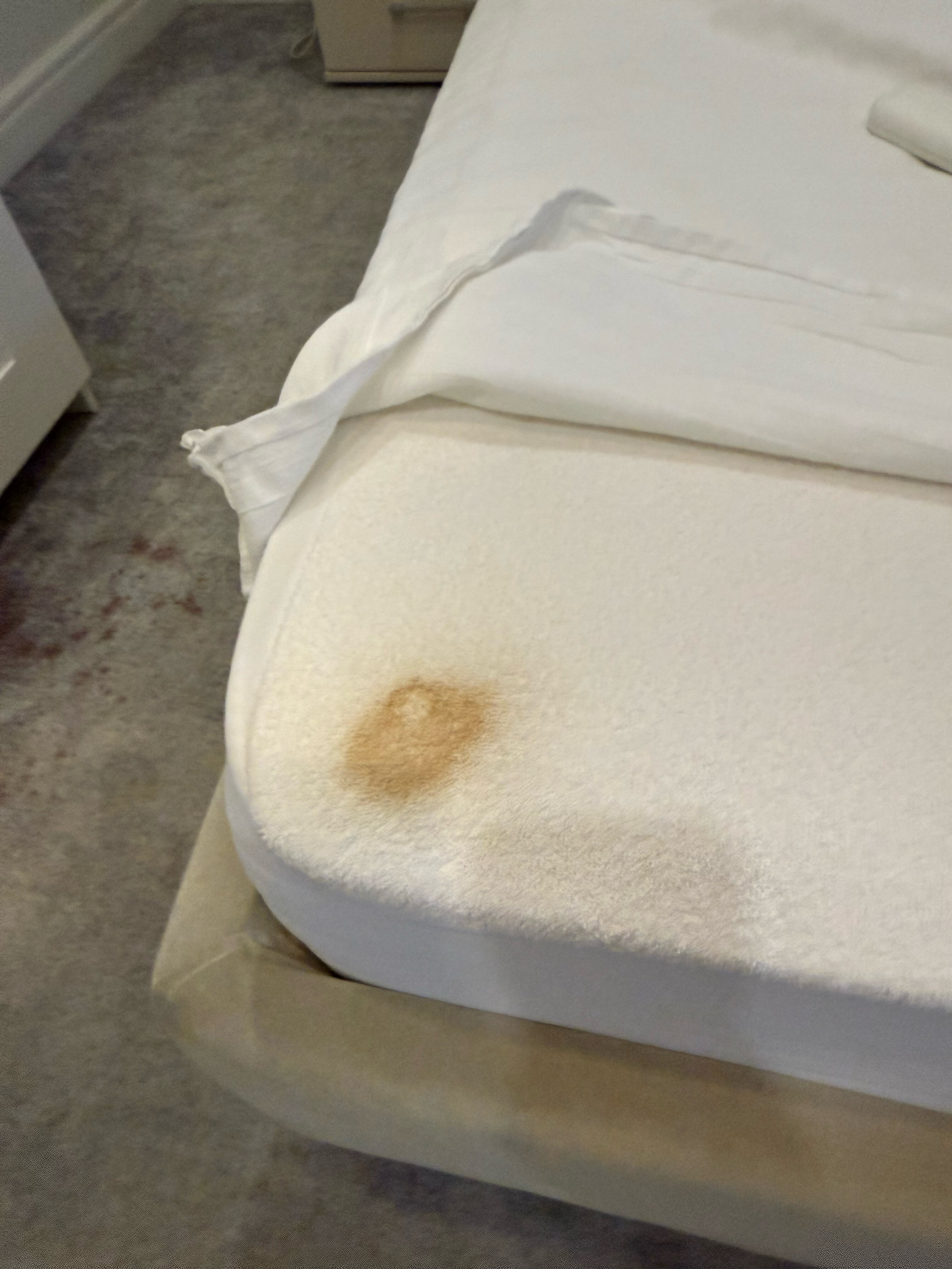 Фото Симпл Сизонс Невский