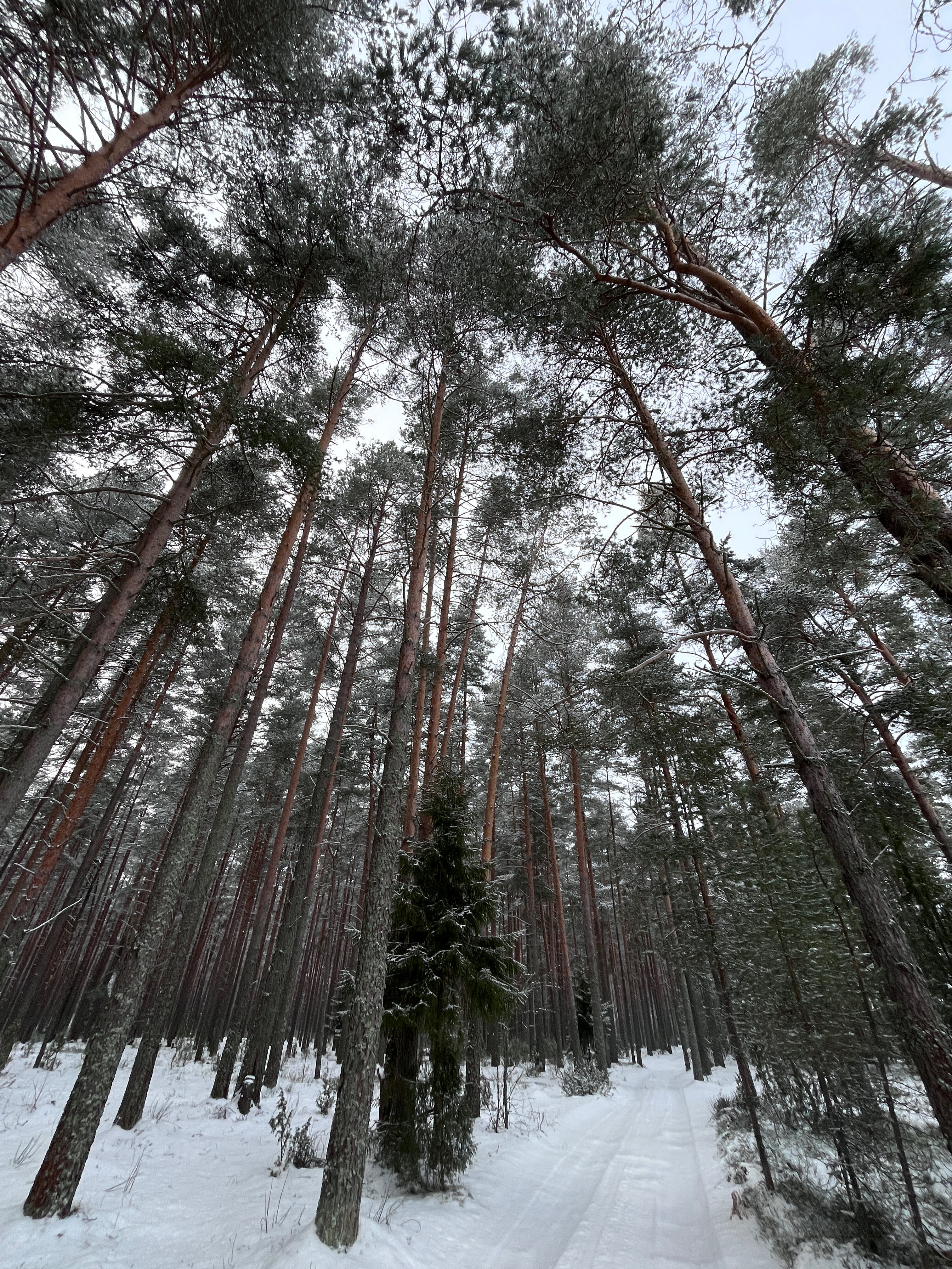 Фото Берег Мологи