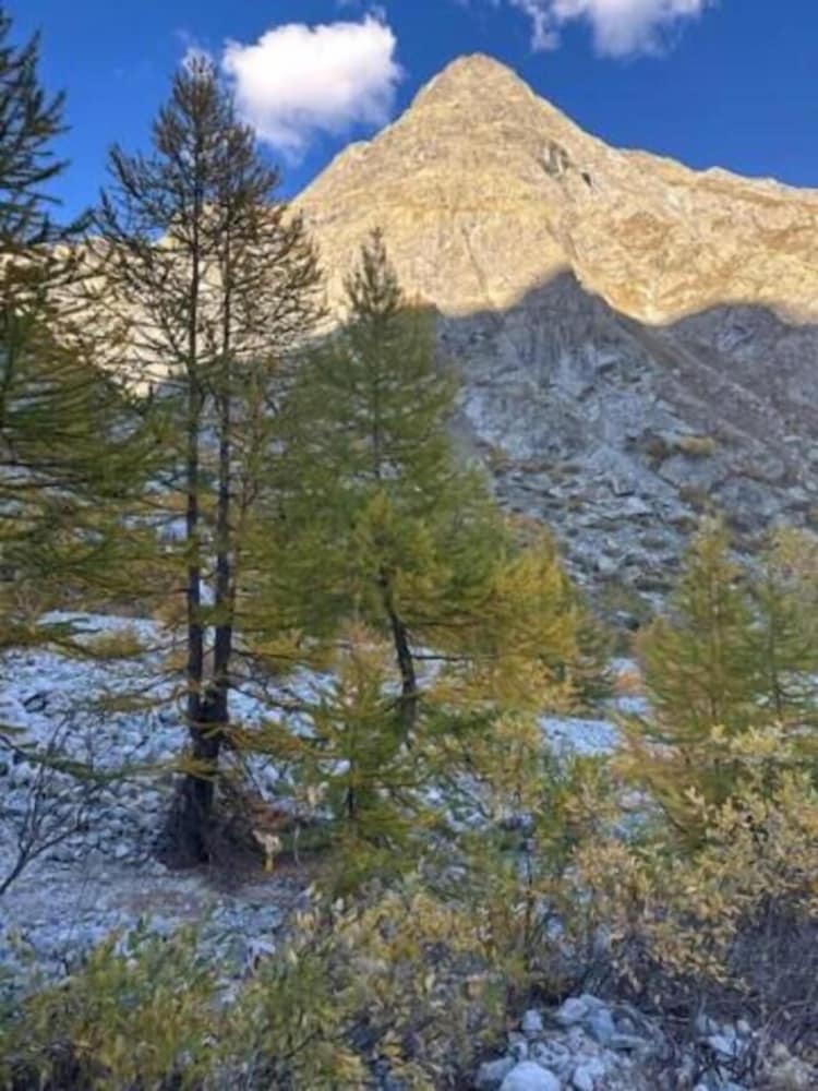Фото Hôtel Vauban Briançon