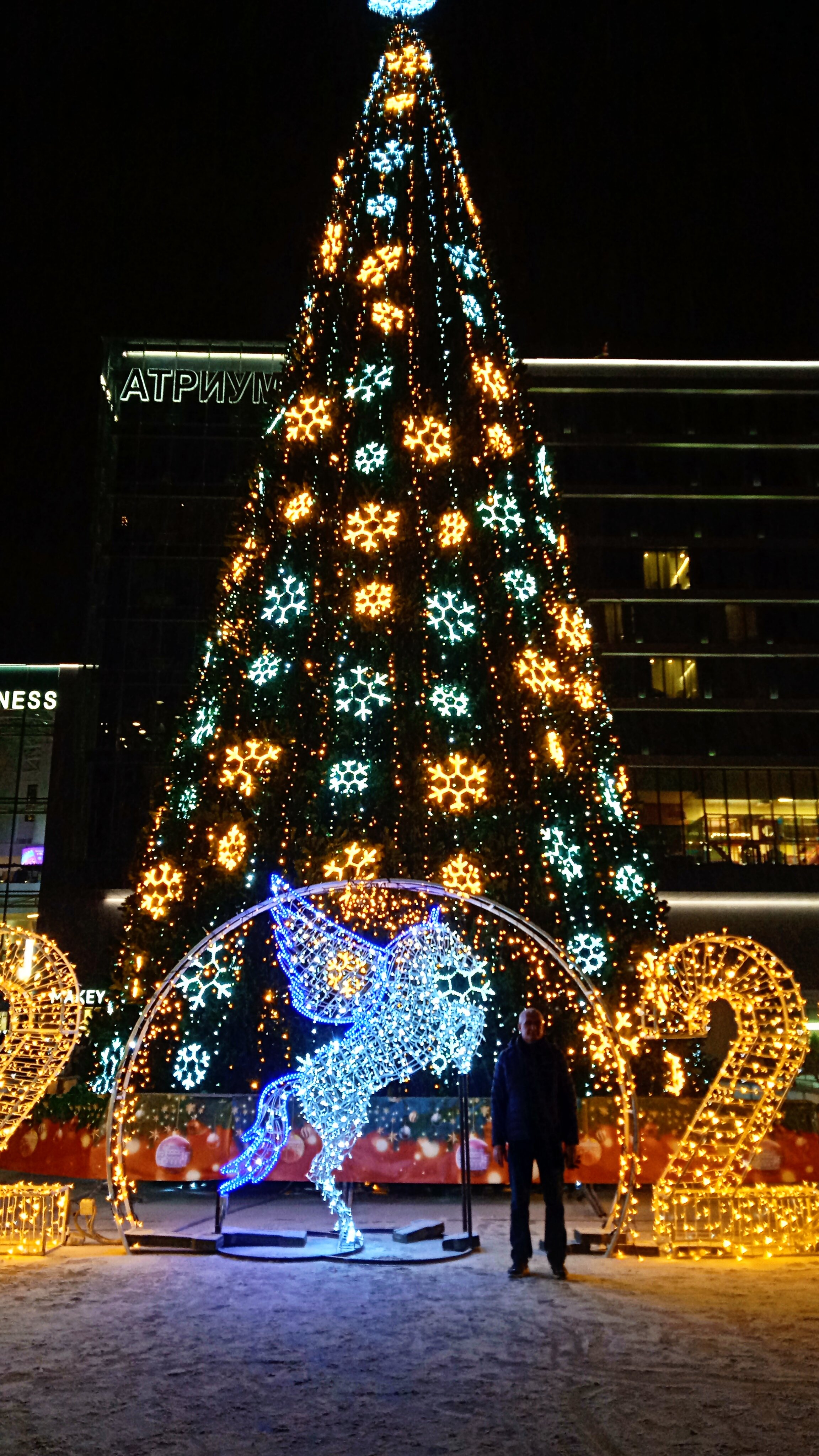 Фото Атриум