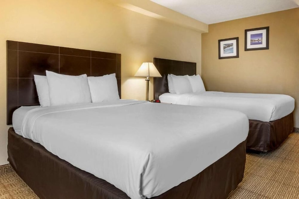 Фото Comfort Inn International Dr