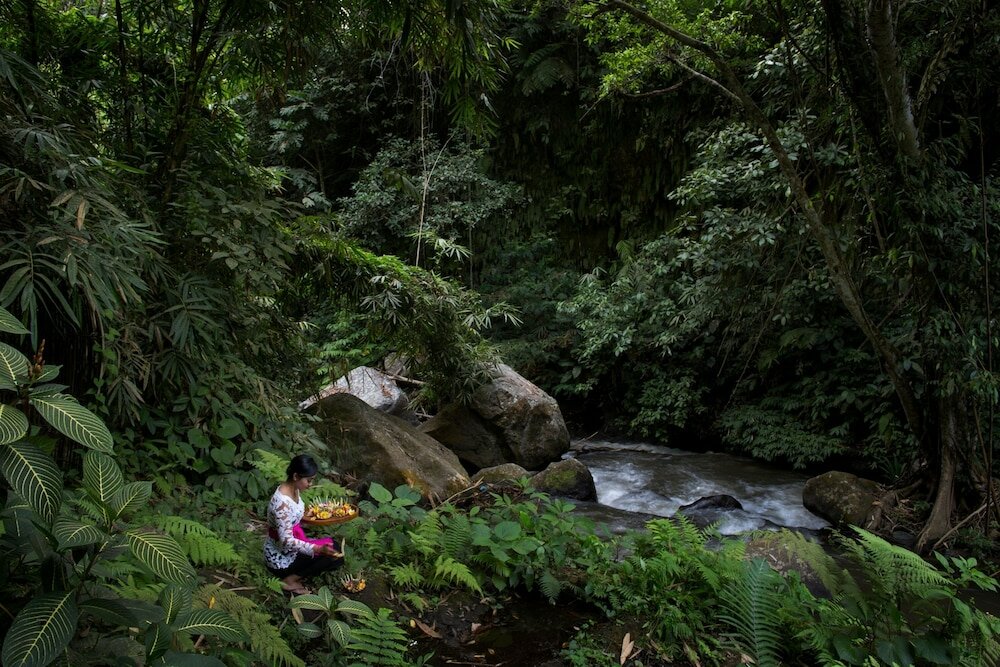 Фото Hanging Gardens of Bali