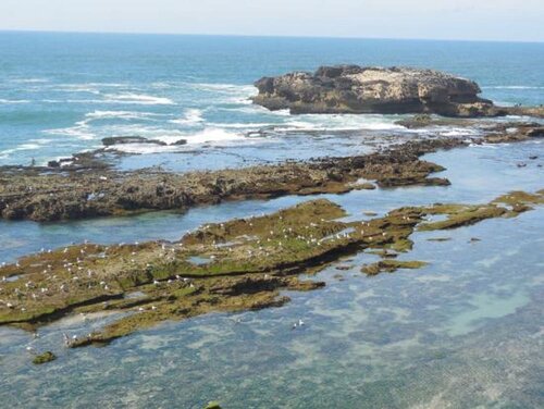 Внешний вид отеля Riad Perle D'Eau в Эс-Сувейре, фото 4
