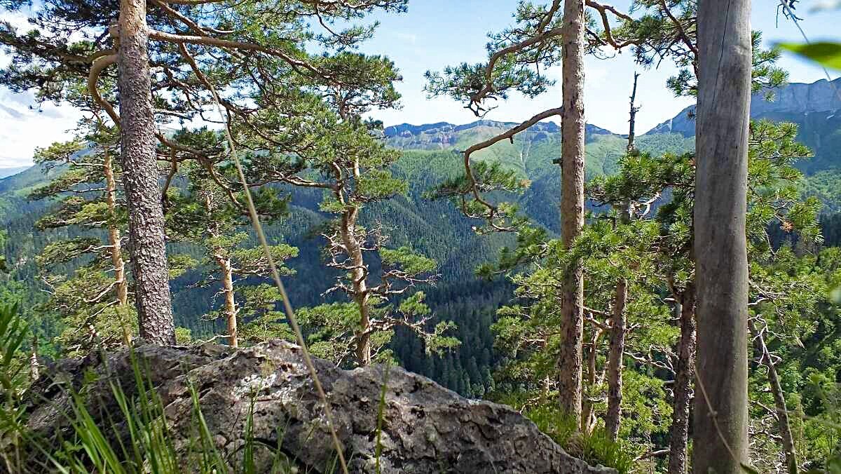 Фото Бурный