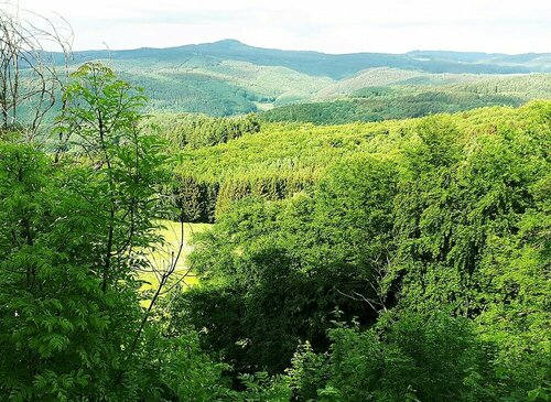 Гостиница Df am Ring в Нюрбурге