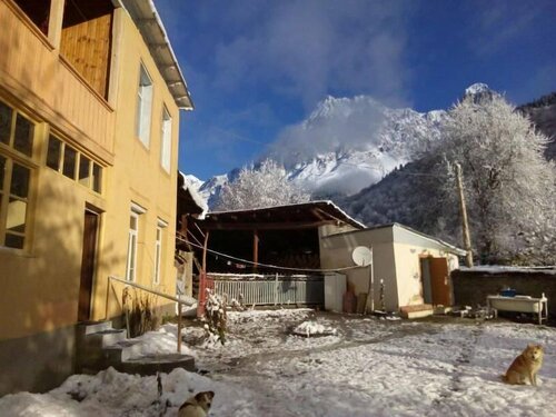 Гостиница Гостевой дом Lia Jamdelianis в Самегрело и Земо-Сванети