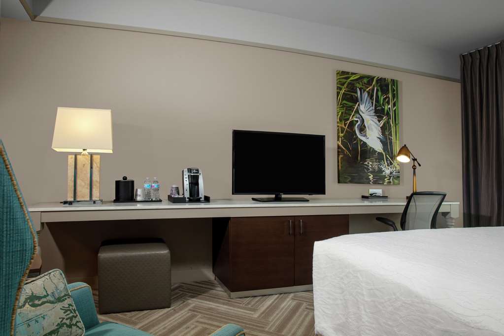 Фото Hilton Garden Inn Mobile Downtown