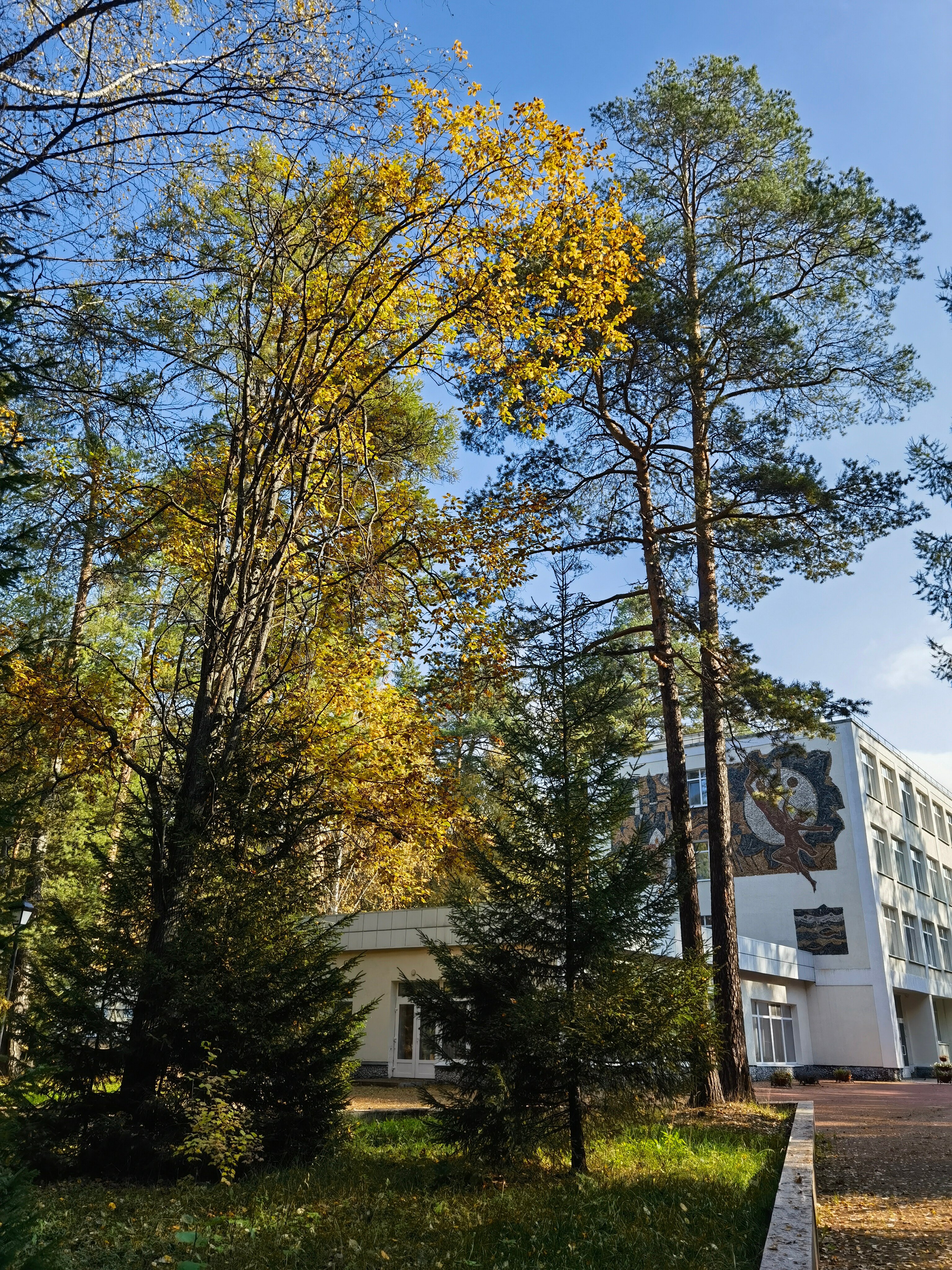 Фото Лесная сказка