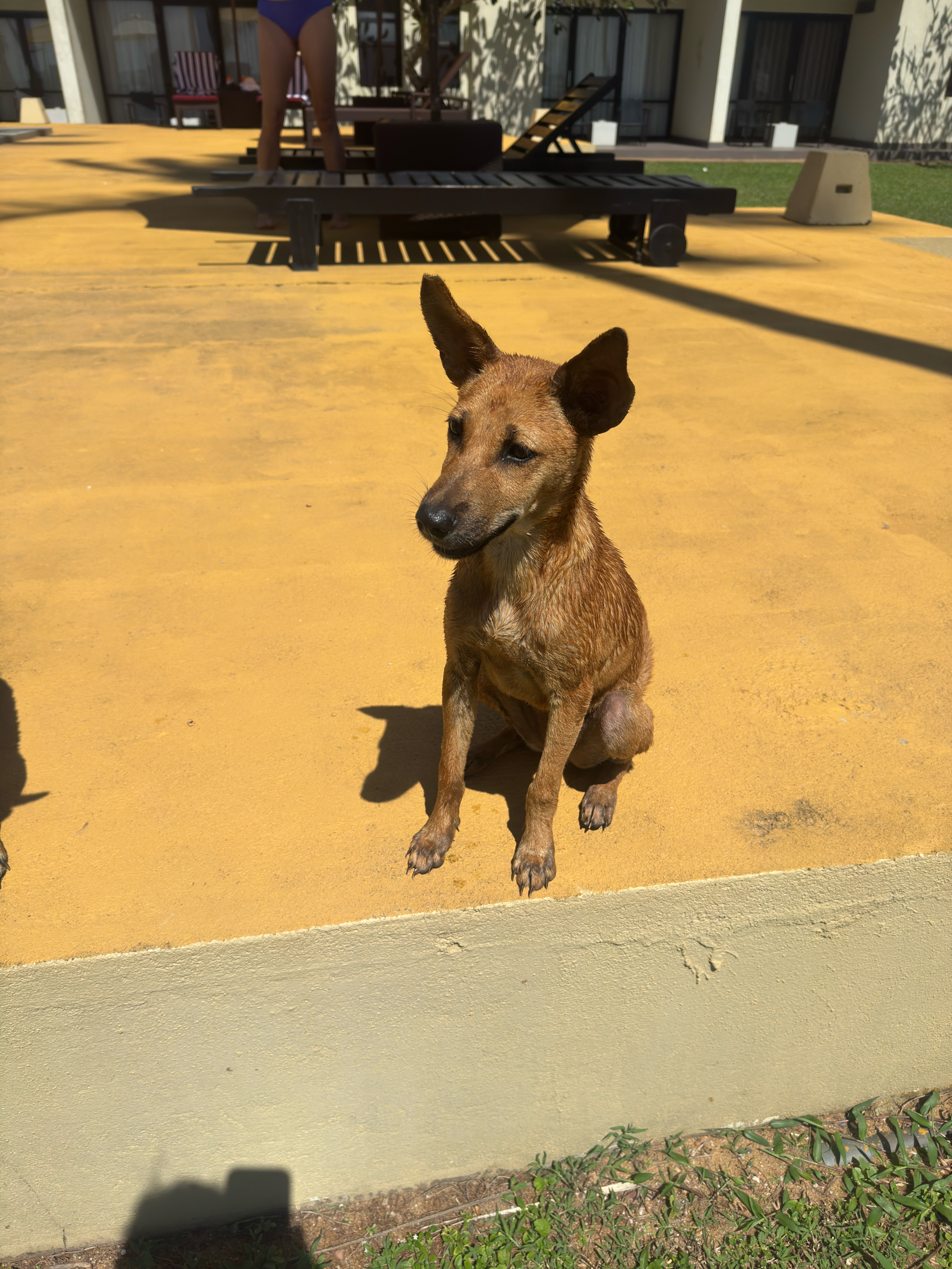 Фото Grand Beach